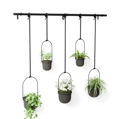Umbra Triflora Hanging Planter (Set of 5), black