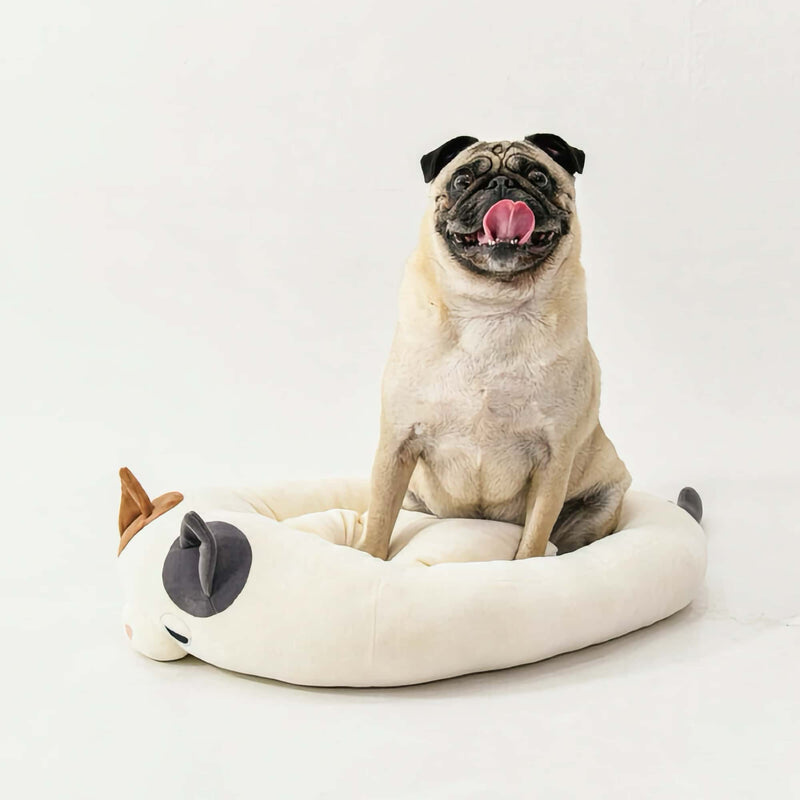 LivHeart Nemu Nemu Feel Pet dog bed, Yuzu