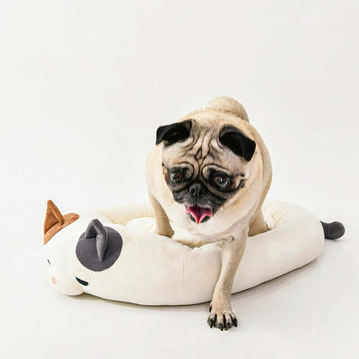 LivHeart Nemu Nemu Feel Pet dog bed, Yuzu