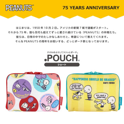 Peanuts Snoopy 75th anniversary zip pouch, stripe