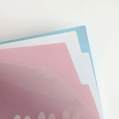 Miffy A4 pocket clear file, fun