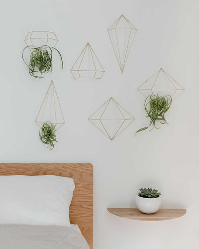 Umbra Prisma wall decor, matte brass