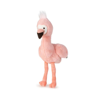 IBTT WWF Filipa Flamingo
