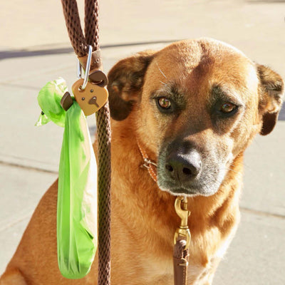 Kikkerland Kobe Dog Light