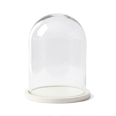 Dome display bell jar