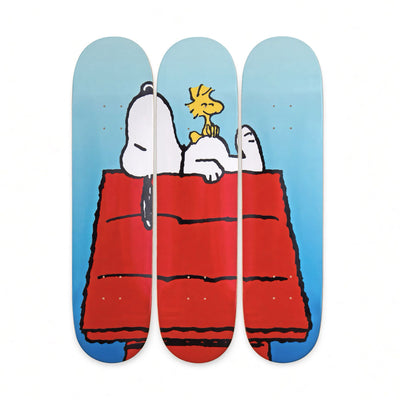 The Skateboard Peanuts Day Dreaming skateboard set of 3