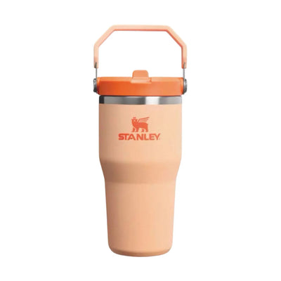 Stanley The IceFlow flip straw tumbler 20oz, orange sherbet