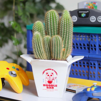 Fluid Market Ramen vase