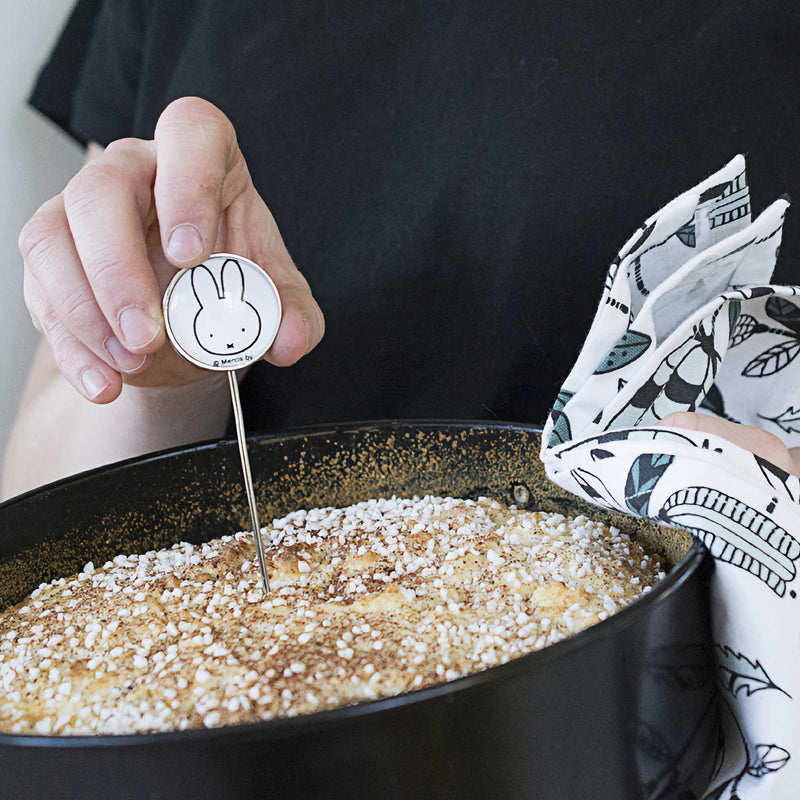 Pluto Miffy Cake Tester