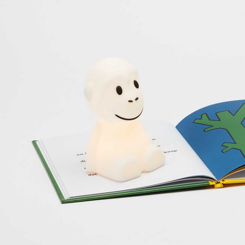 Mr Maria Bundle of Light, monkey