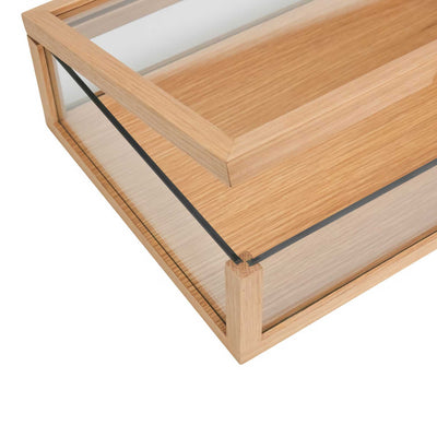 Hubsch View display box