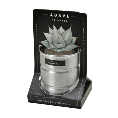 Agave cultivation set, titanota Blue