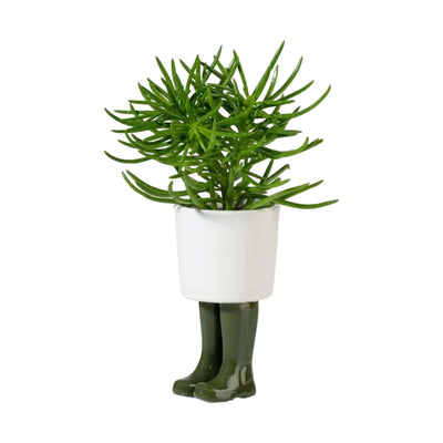 Bitten design Wellington planter small green