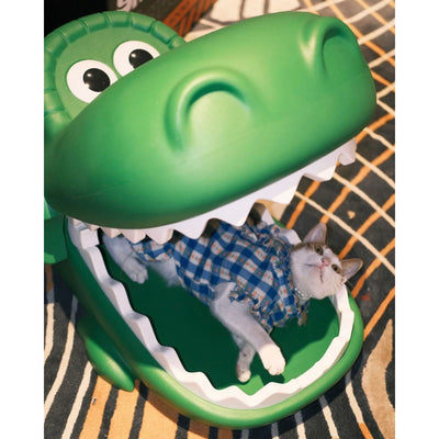 Sunday Home x Toy Story Rex cat house