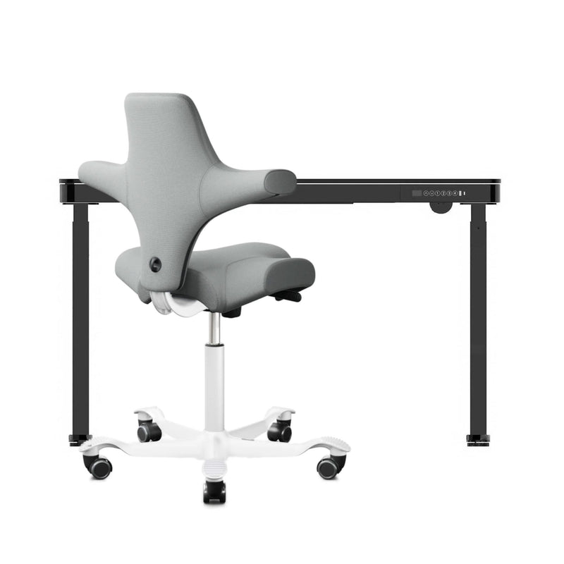 refurbished | FlexiSpot Liftek electric height adjustable desk 120x60 + Hag Capisco 8106 Fabric, light grey/white