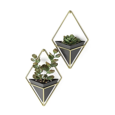 Umbra Trigg wall display (set of 2), black