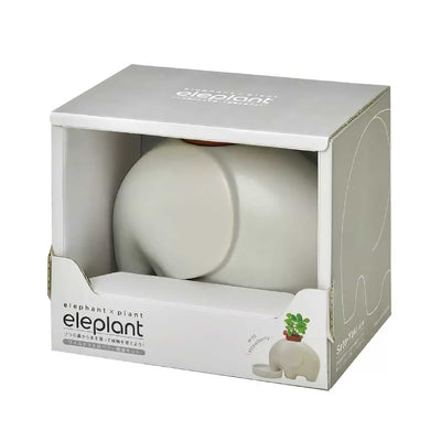 Seishin Ceramic Elephant Potted Plant, Wild Strawberry