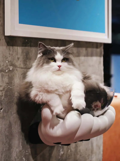 Sunday Home Studio Hold The Bowl wall-mounted storage