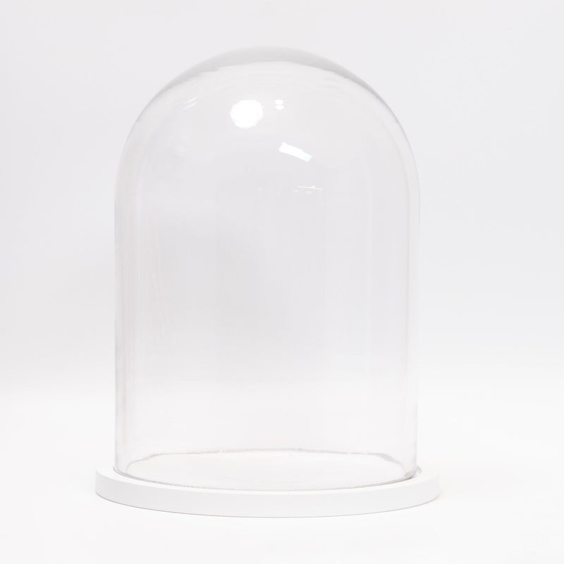 refurbished | Dome display bell jar