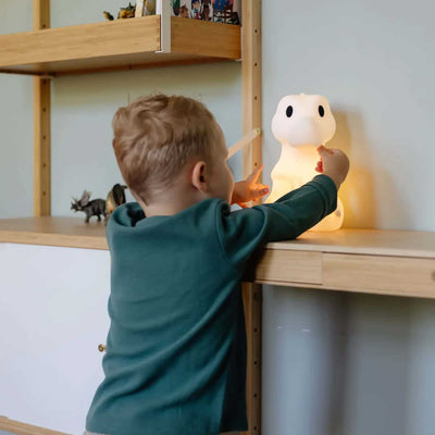 Mr Maria Rena First Light Dimmable Rechargeable Night Light (25cm)