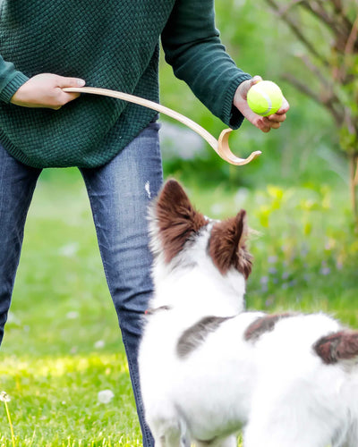 Kobe Wooden Ball Launcher