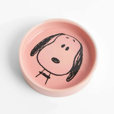 Magpie x Peanuts pin dish, home