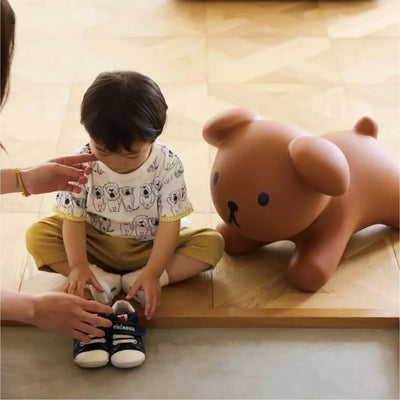 Miffy Bruna Bonbon soft bounce chair, snuffy