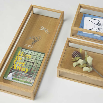 Hubsch View display box