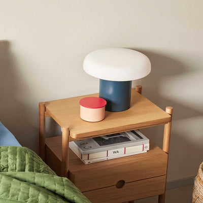 Hubsch District storage box small, pink/red