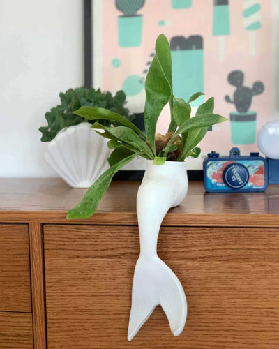 Bitten design Mermaid planter