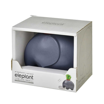 Seishin Ceramic Elephant Potted Plant, Apple Mint