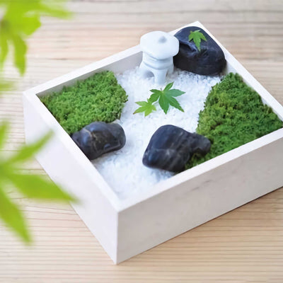 Seishin Koke Bon set