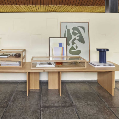 Hubsch View display box