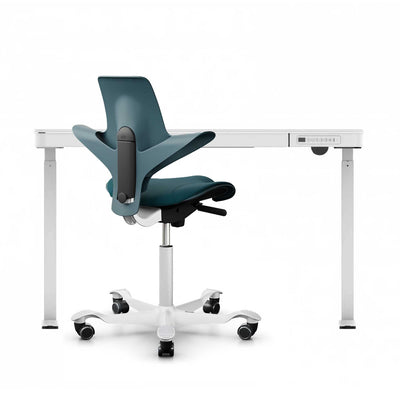 FlexiSpot Liftek electric height adjustable desk 120x60, white