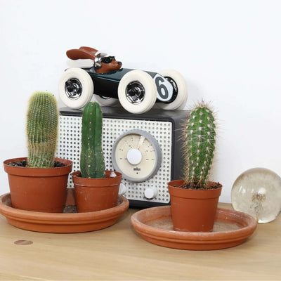 Playforever Midi Rufus Weller