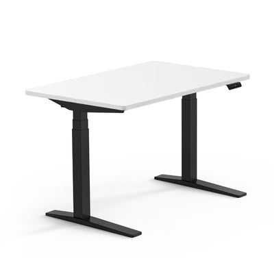 Flexispot E7 Pro electric height adjustable desk 120x60, white/black