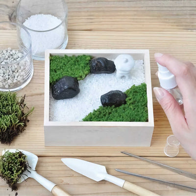 Seishin Koke Bon set