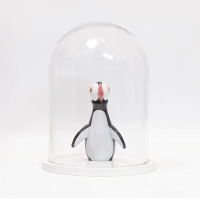 Dome display bell jar