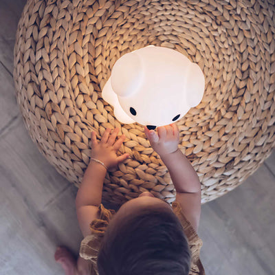 Mr Maria Snuffy First Light