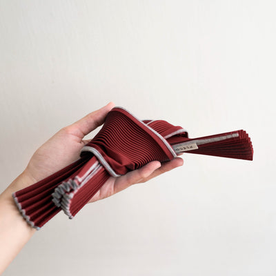 Kna plus Pleco small, sky blue/bordeaux