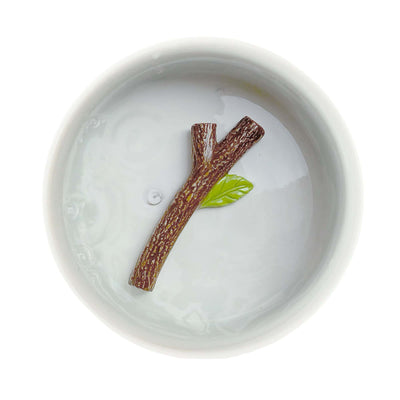Suck Uk Fetch Stick dog bowl