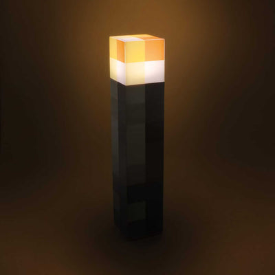 Minecraft Torch Light