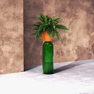 Kikkerland Bottle Planter