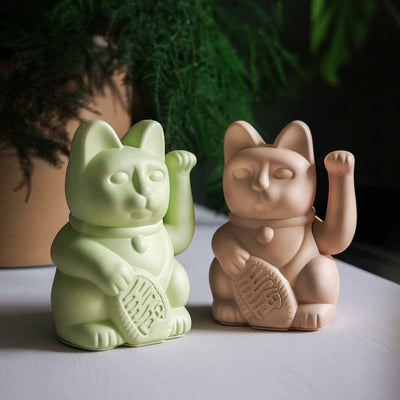 Donkey Lucky Cat, Ocher