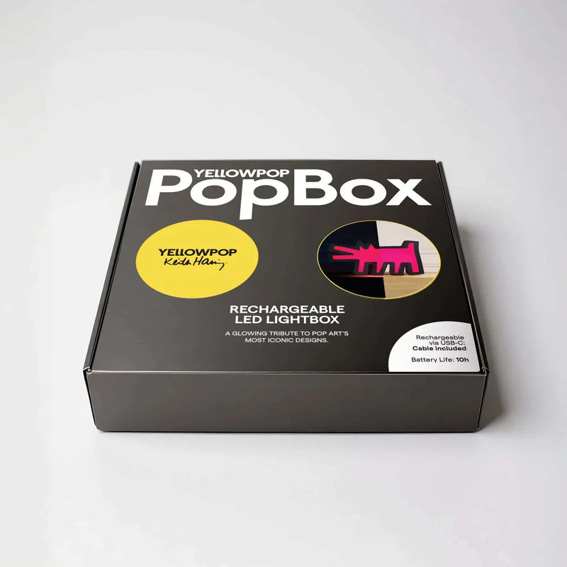 Yellowpop PopBox Barking Dog by Keith Haring
