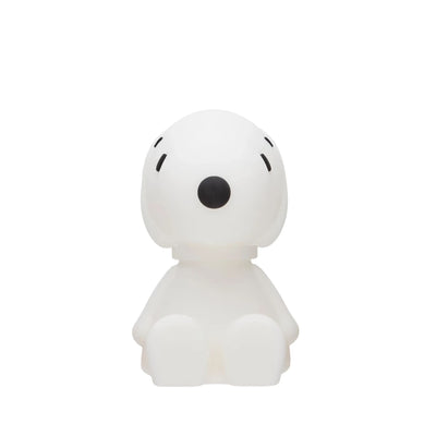 Snoopy® Bundle of Light