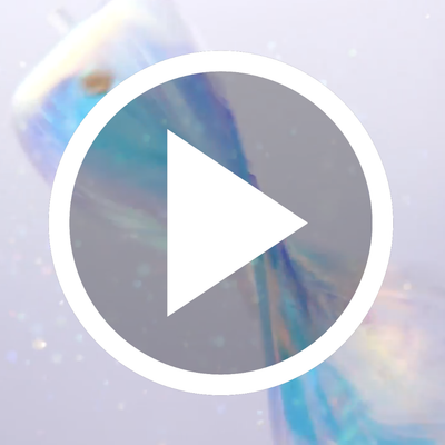 <iframe width="712" height="480" src="https://www.youtube.com/embed/iR3RQIkXc-M" frameborder="0" allow="accelerometer; autoplay; encrypted-media; gyroscope; picture-in-picture" allowfullscreen></iframe>