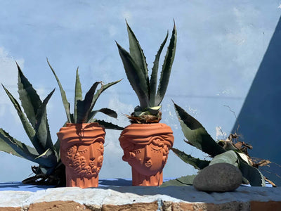 Seletti Magna Graecia terracotta vase, man