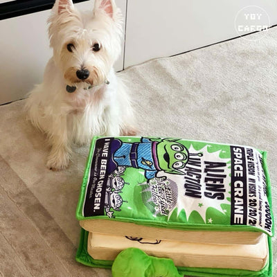 Sunday Home Studio Book foldable cushion, aliens