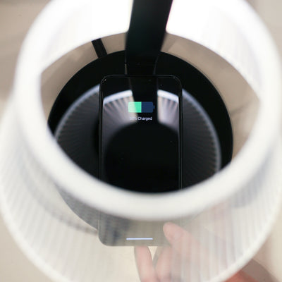 Above Lights Kong Black, dot